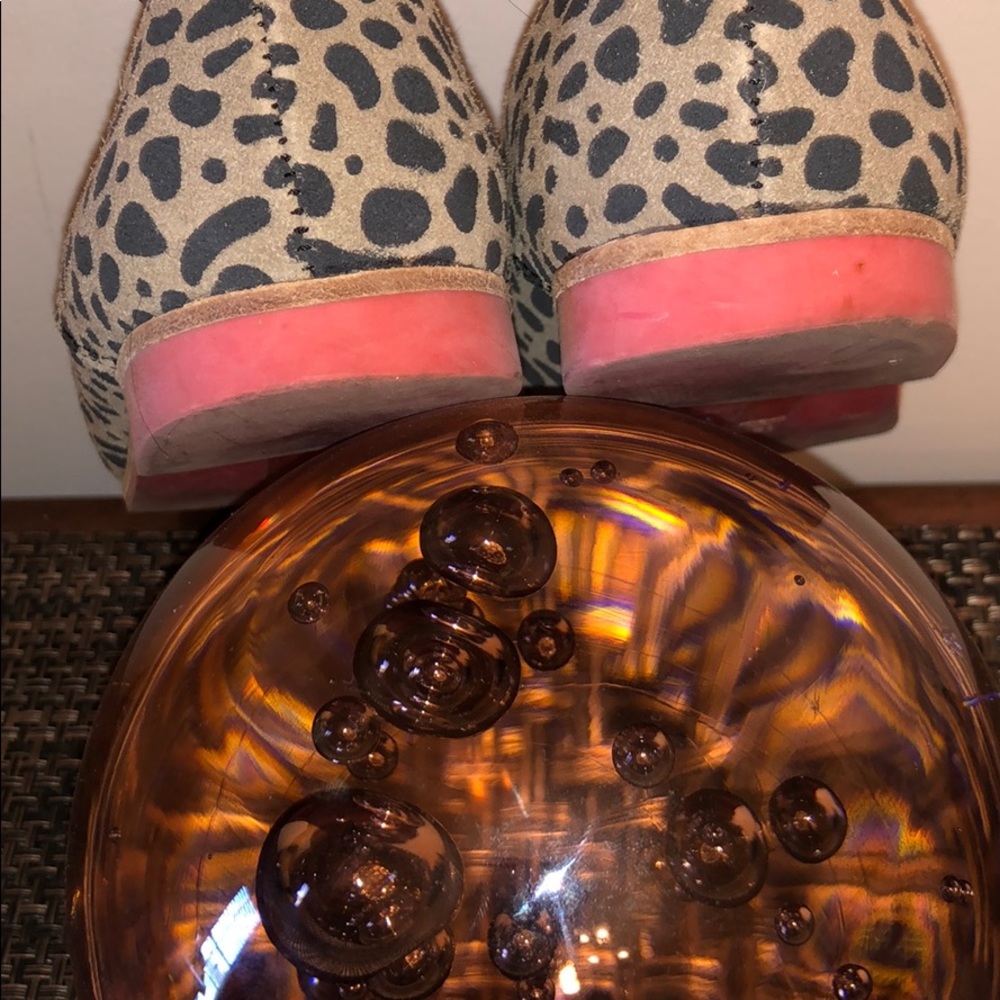 Cheetah Power! - Picture 3 of 7